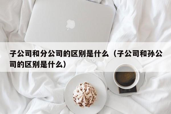 子公司和分公司的區別是什么(子公司和孫公司的區別是什么) 子公司和分公司的區別是什么(子公司和孫公司的區別是什么)