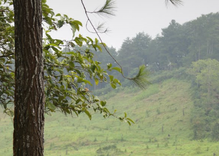 出現(xiàn)電瓶車撞人拒賠狀況應(yīng)該如何應(yīng)對