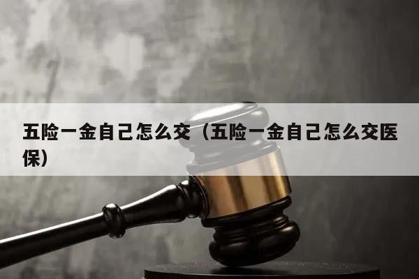 五險(xiǎn)一金自己怎么交(五險(xiǎn)一金自己怎么交醫(yī)保) 五險(xiǎn)一金自己怎么交(五險(xiǎn)一金自己怎么交醫(yī)保)