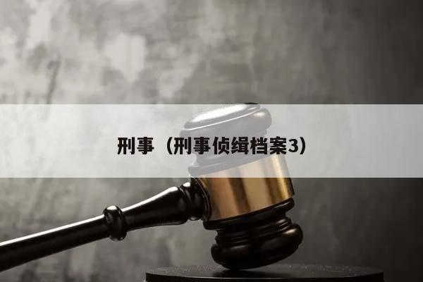 刑事(刑事偵緝檔案3) 刑事(刑事偵緝檔案3)