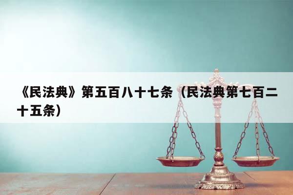 《民法典》第五百八十七條（民法典第七百二十五條）