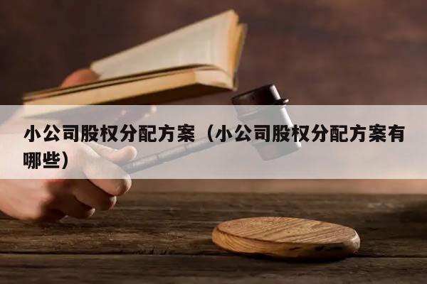 小公司股權分配方案（小公司股權分配方案有哪些）