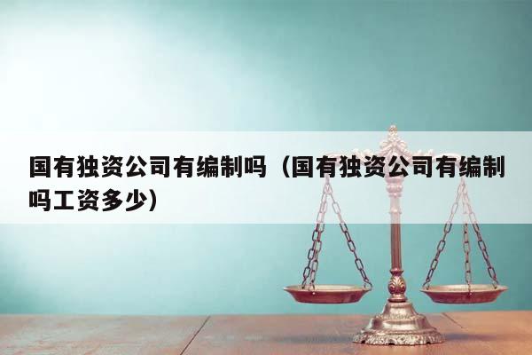 國有獨資公司有編制嗎(國有獨資公司有編制嗎工資多少) 國有獨資公司有編制嗎(國有獨資公司有編制嗎工資多少)