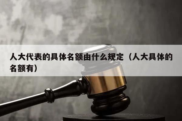 人大代表的具體名額由什么規定（人大具體的名額有）