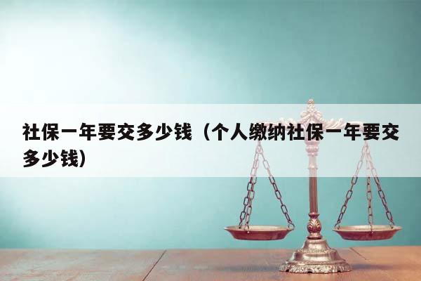 社保一年要交多少錢(個人繳納社保一年要交多少錢) 社保一年要交多少錢(個人繳納社保一年要交多少錢)