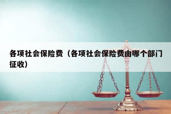 各項社會保險費(各項社會保險費由哪個部門征收) 各項社會保險費(各項社會保險費由哪個部門征收)
