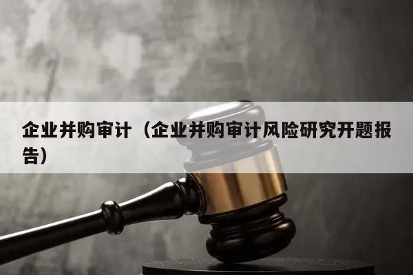 企業(yè)并購審計(企業(yè)并購審計風(fēng)險研究開題報告) 企業(yè)并購審計(企業(yè)并購審計風(fēng)險研究開題報告)