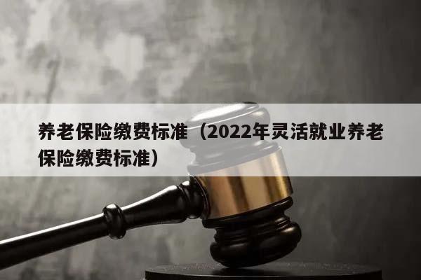 養老保險繳費標準(2022年靈活就業養老保險繳費標準) 養老保險繳費標準(2022年靈活就業養老保險繳費標準)
