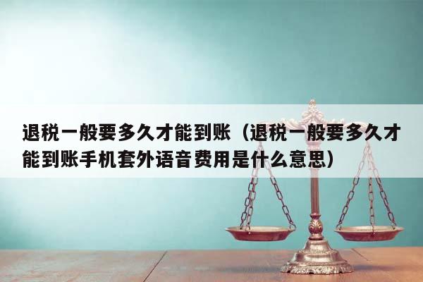 退稅一般要多久才能到賬（退稅一般要多久才能到賬手機套外語音費用是什么意思）