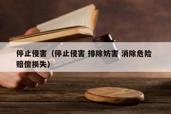 停止侵害(停止侵害 排除妨害 消除危險(xiǎn) 賠償損失) 停止侵害(停止侵害 排除妨害 消除危險(xiǎn) 賠償損失)