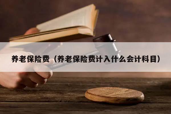養(yǎng)老保險(xiǎn)費(fèi)(養(yǎng)老保險(xiǎn)費(fèi)計(jì)入什么會(huì)計(jì)科目) 養(yǎng)老保險(xiǎn)費(fèi)(養(yǎng)老保險(xiǎn)費(fèi)計(jì)入什么會(huì)計(jì)科目)