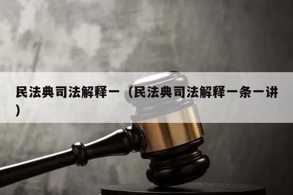 民法典司法解釋一（民法典司法解釋一條一講）