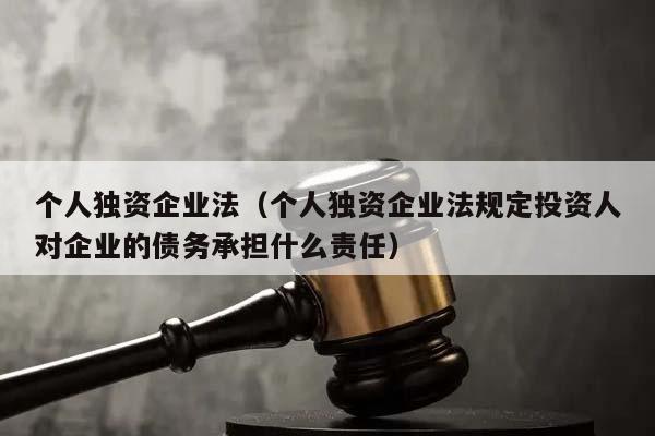 個人獨(dú)資企業(yè)法(個人獨(dú)資企業(yè)法規(guī)定投資人對企業(yè)的債務(wù)承擔(dān)什么責(zé)任) 個人獨(dú)資企業(yè)法(個人獨(dú)資企業(yè)法規(guī)定投資人對企業(yè)的債務(wù)承擔(dān)什么責(zé)任)