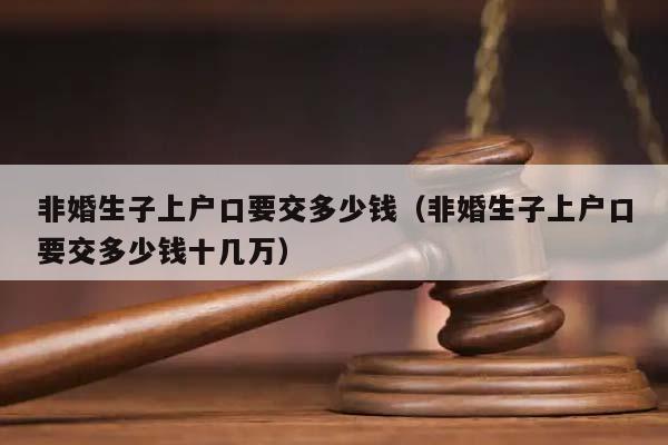 非婚生子上戶口要交多少錢(非婚生子上戶口要交多少錢十幾萬) 非婚生子上戶口要交多少錢(非婚生子上戶口要交多少錢十幾萬)