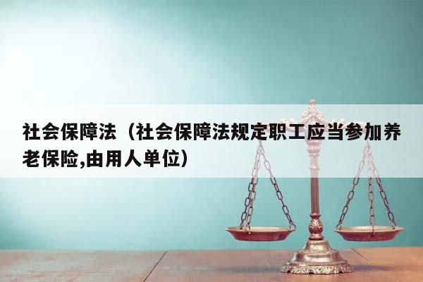 社會保障法(社會保障法規定職工應當參加養老保險,由用人單位) 社會保障法(社會保障法規定職工應當參加養老保險,由用人單位)