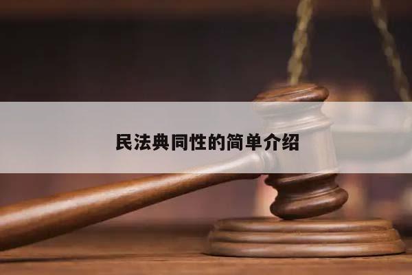 民法典同性的簡單介紹 民法典同性的簡單介紹