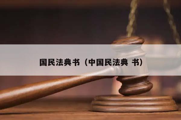 國民法典書（中國民法典 書）