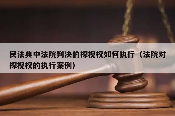 民法典中法院判決的探視權如何執行(法院對探視權的執行案例) 民法典中法院判決的探視權如何執行(法院對探視權的執行案例)