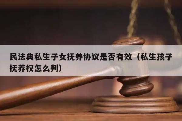 民法典私生子女撫養協議是否有效(私生孩子撫養權怎么判) 民法典私生子女撫養協議是否有效(私生孩子撫養權怎么判)