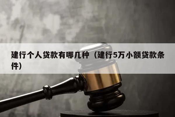 建行個人貸款有哪幾種(建行5萬小額貸款條件) 建行個人貸款有哪幾種(建行5萬小額貸款條件)