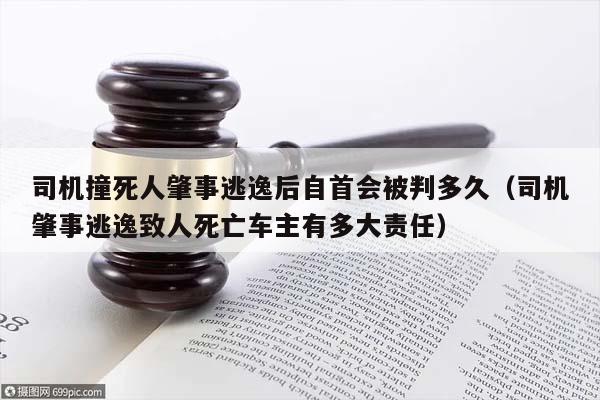 司機撞死人肇事逃逸后自首會被判多久(司機肇事逃逸致人死亡車主有多大責任) 司機撞死人肇事逃逸后自首會被判多久(司機肇事逃逸致人死亡車主有多大責任)