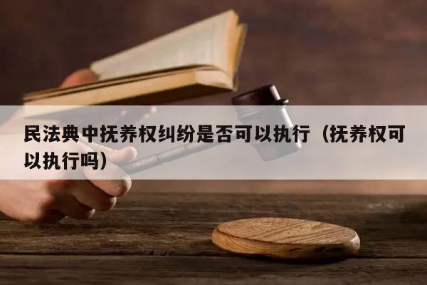 民法典中撫養權糾紛是否可以執行(撫養權可以執行嗎) 民法典中撫養權糾紛是否可以執行(撫養權可以執行嗎)