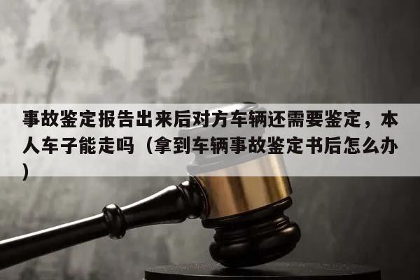 事故鑒定報告出來后對方車輛還需要鑒定,本人車子能走嗎(拿到車輛事故鑒定書后怎么辦) 事故鑒定報告出來后對方車輛還需要鑒定,本人車子能走嗎(拿到車輛事故鑒定書后怎么辦)