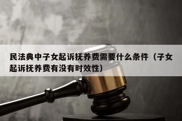 民法典中子女起訴撫養費需要什么條件(子女起訴撫養費有沒有時效性) 民法典中子女起訴撫養費需要什么條件(子女起訴撫養費有沒有時效性)