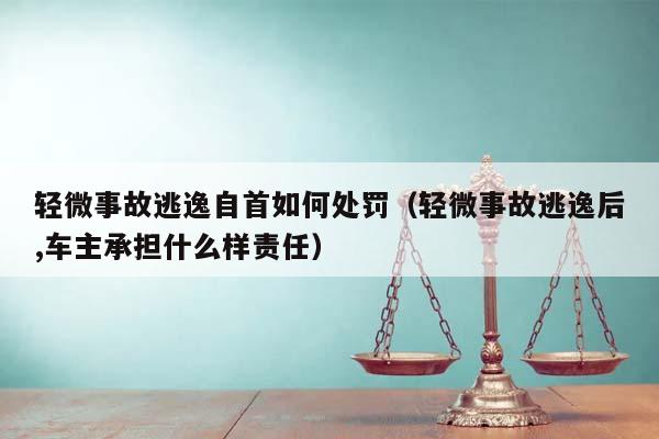 輕微事故逃逸自首如何處罰(輕微事故逃逸后,車主承擔什么樣責任) 輕微事故逃逸自首如何處罰(輕微事故逃逸后,車主承擔什么樣責任)