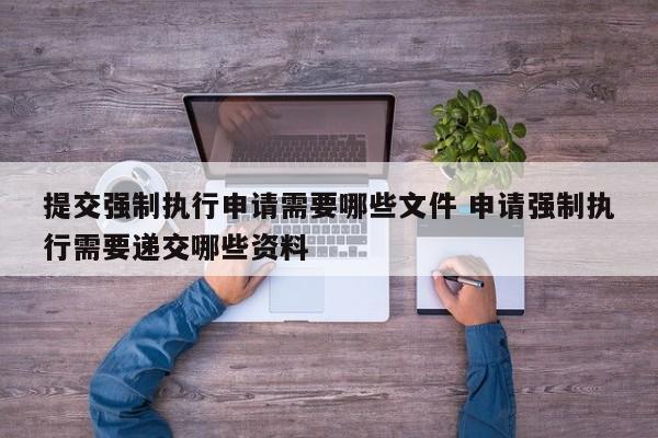 提交強制執行申請需要哪些文件 申請強制執行需要遞交哪些資料