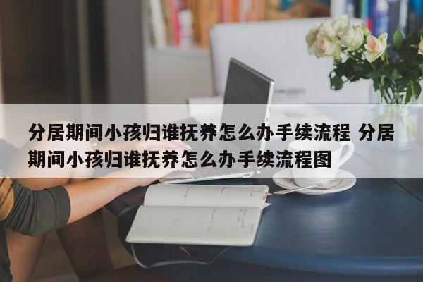 分居期間小孩歸誰撫養(yǎng)怎么辦手續(xù)流程 分居期間小孩歸誰撫養(yǎng)怎么辦手續(xù)流程圖
