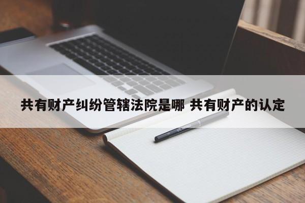 共有財產(chǎn)糾紛管轄法院是哪 共有財產(chǎn)的認定 共有財產(chǎn)糾紛管轄法院是哪 共有財產(chǎn)的認定